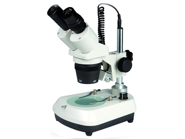 DUP.01.206 Dual Power Stereo